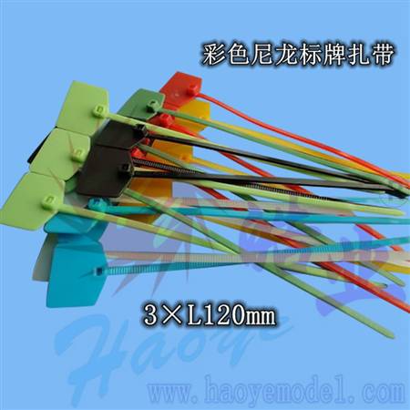 HY013A-02404A  彩色尼龙标牌扎带